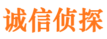 北碚诚信私家侦探公司